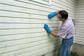 Affordable Siding Repair and Maintenance Services in Mason, TX